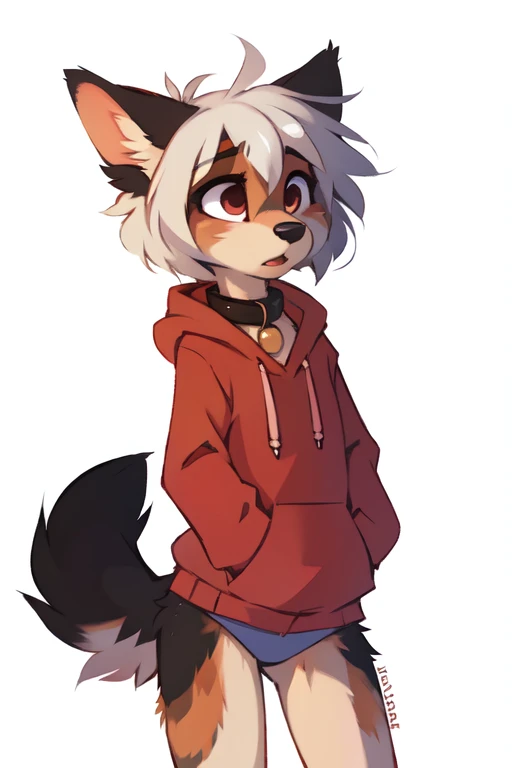 (((White background, no background))), High quality, 8K, by kenket, by swaybat, by reysi, by Zackary911, by hyattlen, by teranen, by fumiko, by Pixelsketcher, by Bayard Wu, by Einshelm, by Kilinah, by Hioshiru, by fluff-kevlar, by Dimwitdog, Furry, Anthro, solo, ((australian shepard)), ((female)), ((young)), fluffy tail, ((slender)), ((short white hair)), chest fluff, short, small breasts, blue full back panties, red oversized long hoodie, collar, embarassed, behind, dynamic pose