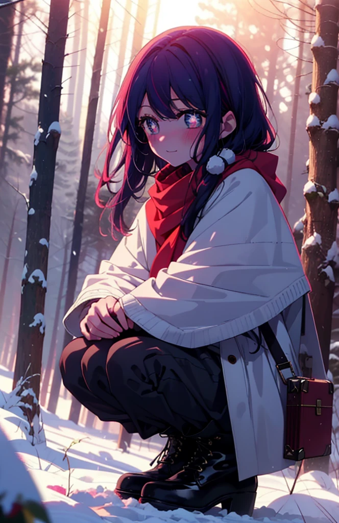 aihoshino, Ai Hoshino, Long Hair, bangs, (Purple eyes:1.1), Purple Hair, (Symbol-shaped pupil:1.5), smile,,smile,blush,white breath,
Open your mouth,snow,Ground bonfire, Outdoor, boots, snowing, From the side, wood, suitcase, Cape, Blurred, , forest, White handbag, nature, Squat, Mouth closed, Cape, winter, Written boundary depth, Black shoes, red Cape break looking at viewer, Upper Body, whole body, break Outdoor, forest, nature, break (masterpiece:1.2), Highest quality, High resolution, unity 8k wallpaper, (shape:0.8), (Beautiful and beautiful eyes:1.6), Highly detailed face, Perfect lighting, Extremely detailed CG, (Perfect hands, Perfect Anatomy),