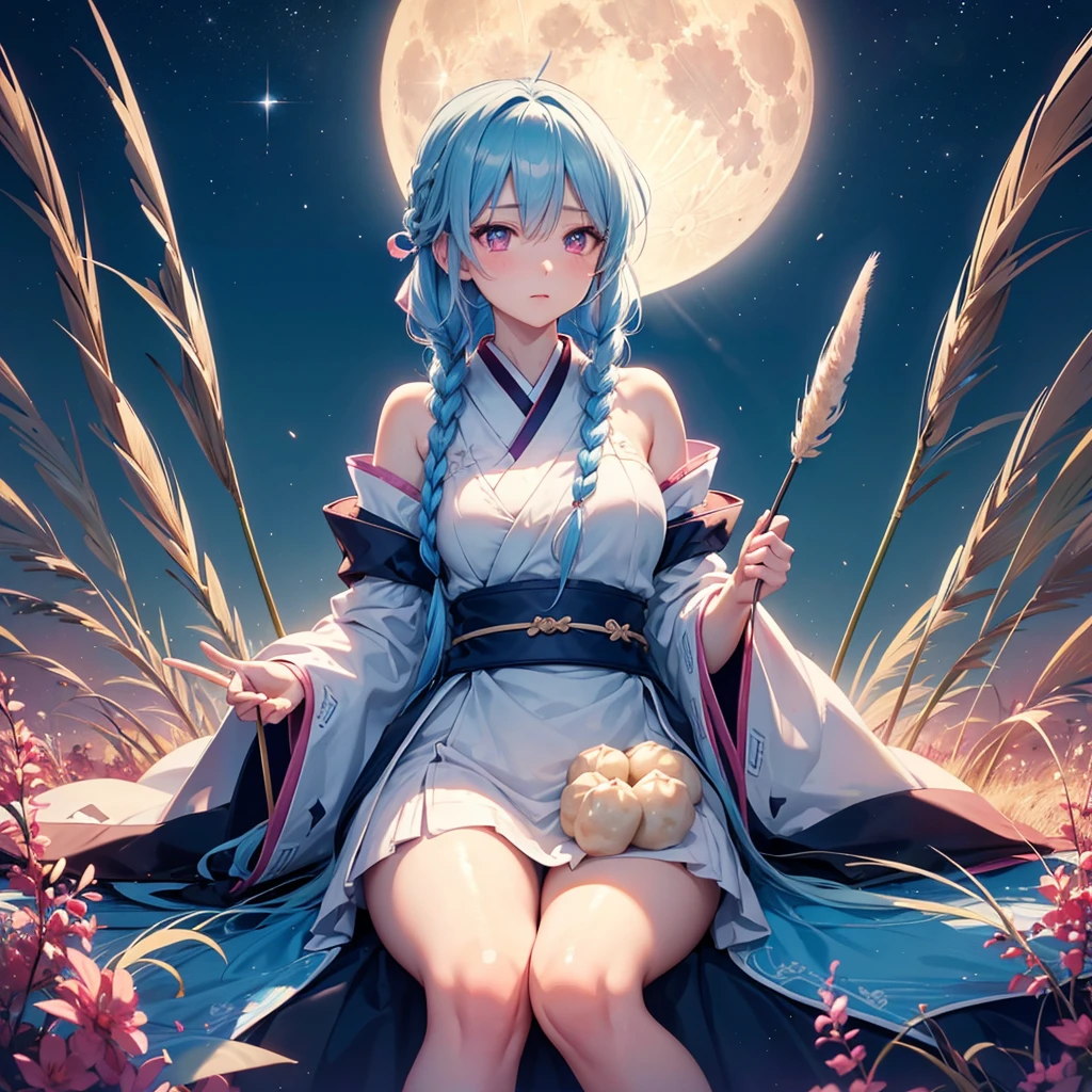 Sky blue hair, (1 braided hair), (Pink eyes),Fair skin) ,(whole body),(One Girl),(White sweet dumplings ),Japanese pampas grass,(beautiful, Full moon shining in the night sky),(masterpiece, Highest quality, Very detailed, Best Shadow), (Detailed Background), (Beautifully detailed face), High Contrast, (Best lighting, Very delicate and beautiful), ((Cinematic Light)), Hyper Detail,8k, Dramatic Light, Intricate details,Sit down and eat dumplings,