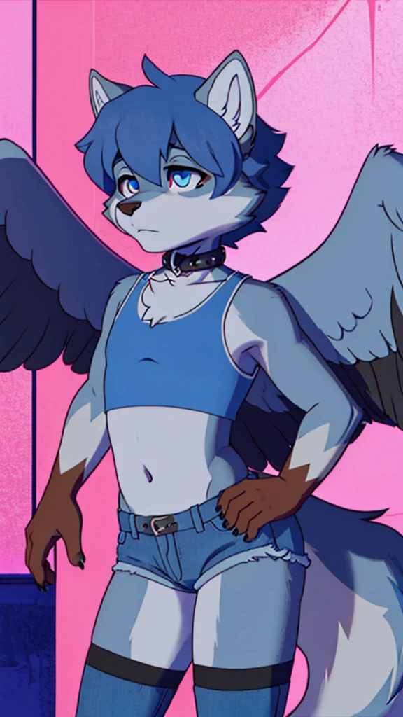 femboy, wolf boy, denim short shorts, blue crop top, flat chested, black thigh highs, tight collar, grey fur, white feathered wings,