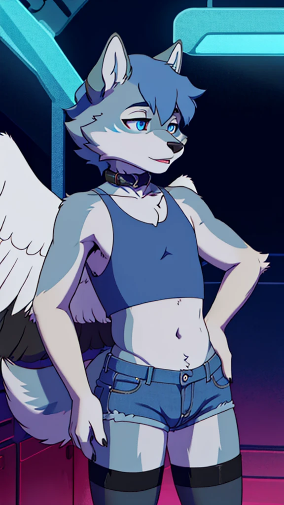 femboy, wolf boy, denim short shorts, blue crop top, flat chested, black thigh highs, tight collar, grey fur, white feathered wings,