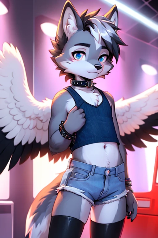 femboy, wolf boy, denim short shorts, blue crop top, flat chested, black thigh highs, tight collar, grey fur, white feathered wings,