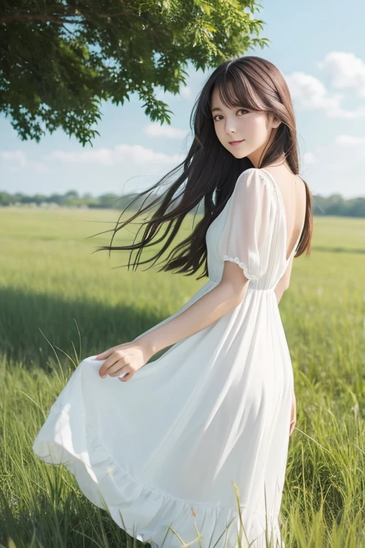 beautiful girl、Ghibli style、The wind blows、Long Hair、White dress、grassland、Earth、Shade