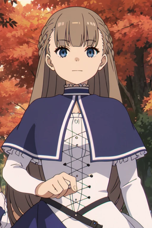 ((Bestquality))),((Ultra-detailed)),((illustration)),((Disheveledhair)),((frilld)),(1girl),(Solo),
1girl, autumn, autumn leaves, bangs, blue eyes, blunt bangs, braid, capelet, closed mouth, cloud, crown braid, dress, french braid, frilled sleeves, frills, holding, long hair, long sleeves, looking at viewer, outdoors, sky, smile, solo, sunset, tree, upper body, grey hair, Holding a staff, staff