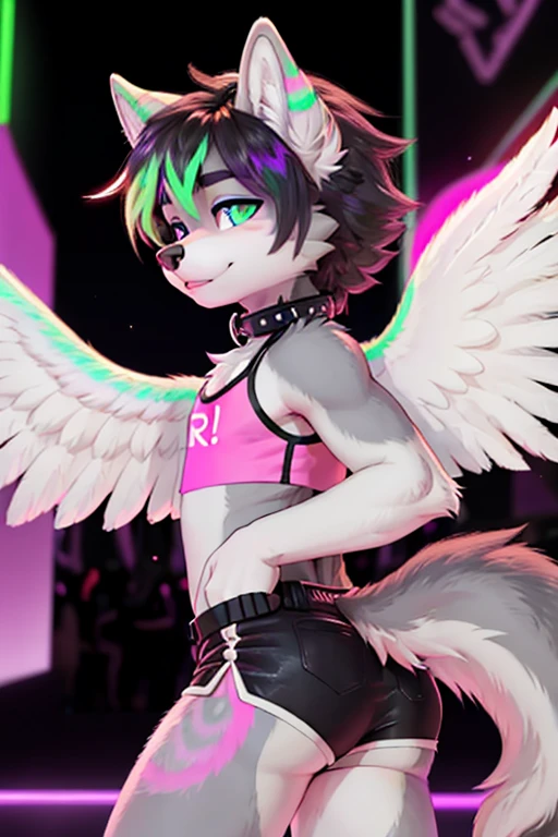 femboy, wolf boy, male, mess crop top,  booty shorts, flat chested, tight collar, grey fur, white feathered wings, rave background,