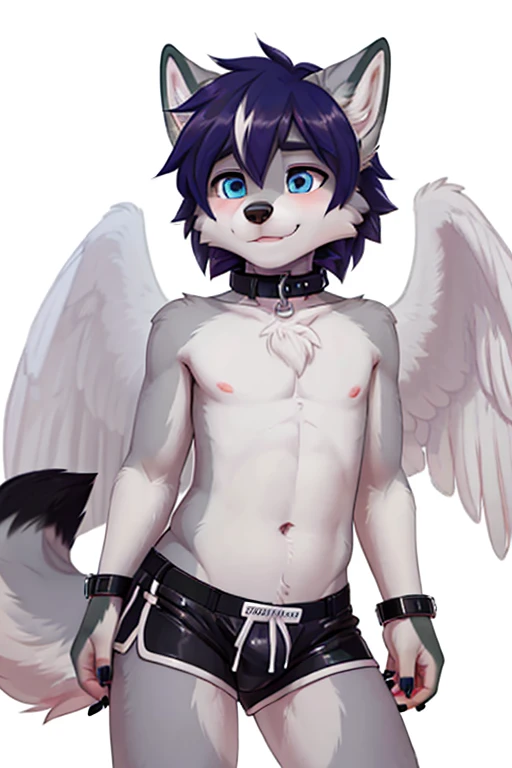 femboy, wolf boy, male, chastity shorts, flat chested, tight collar, grey fur, white feathered wings,