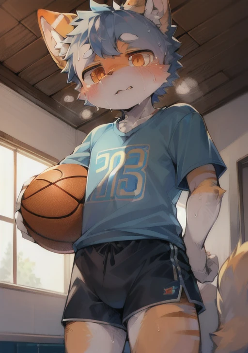 masterpiece, high quality, Absurd answer, number \(artwork\), by Dagasi, Yes,Seizan,(Fluffy fur:1.1),(bright:0.8),Anthropomorphic male cat. (Orange Eyes,Gray blue fur, Body hair, Cat nose:1.2), bright eyes,panoramic,character focus.Detailed background,(Blue T-shirt, Sweating,Look into the camera, Free mineral water:1.2),(indoor, Basketball Court:1.2)