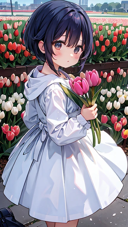 (Tulip:1.5),Girl in the tulip field