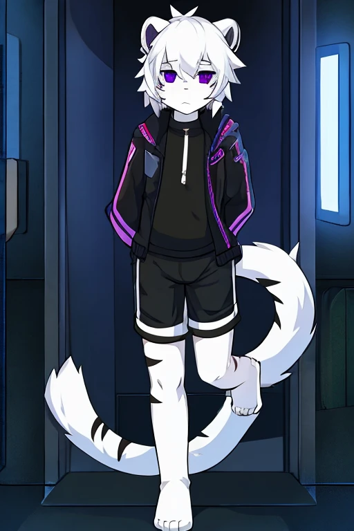 White fur tiger, little, adolescent , with white tail, White hair, black jacket, address shirt, shorts negros, purple eyes, hacker, sad 