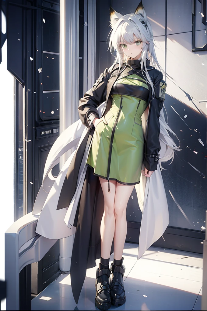 anime girl with white hair and green dress standing in the dark, kal'tsit, kal'tsit from arknights, from the arknights videogame, fox ear, green eyes, from arknights, fine details, arknights, arknights style, arknights cg, kantai collection style, arknights style, main character, medic girl, arknights, official character art, arknights universe, kal'tsit doctor uniform