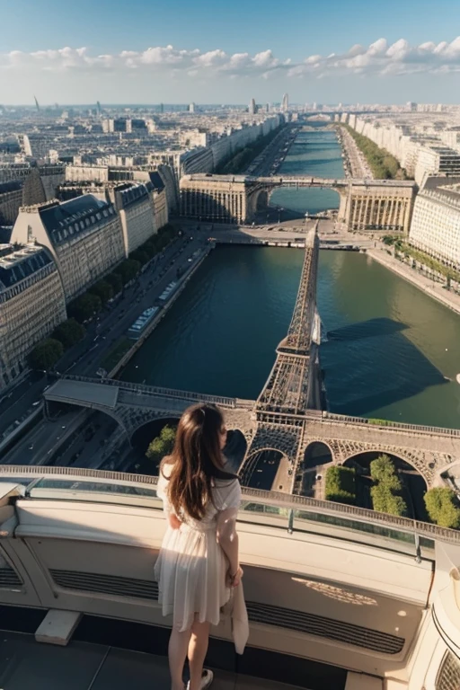 view from the top of the Eiffel Tower