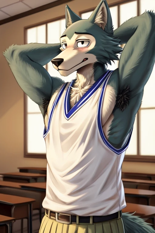 Male, wolf, legoshi, beastars, shy expression, masculine, raised arm, showing armpit, hairy armpit, Japanese , school outfit, white sleeveless shirt