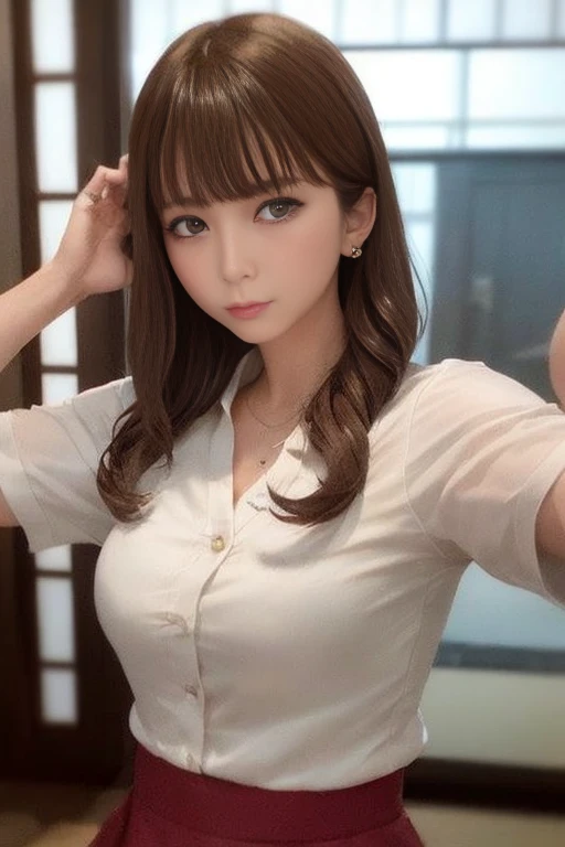 masterpiece , Highest quality , (Mature Woman) , Japanese , (Fighting Pose) , from the front , blouse , skirt