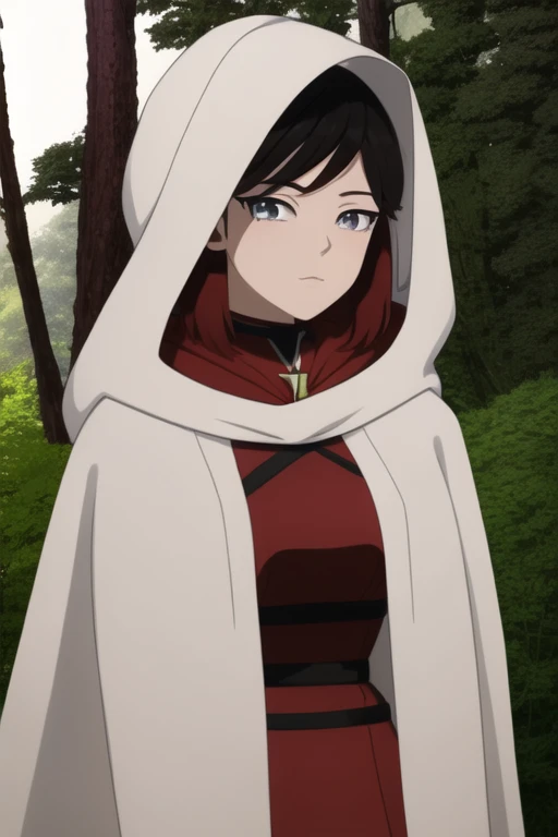 srwby, short hair, black hair, red hair, white cloak, white cape, gradient hair, grey eyes, Solo, 1girl, Looking at viewer, Masterpiece, Best Quality, forest, hood up