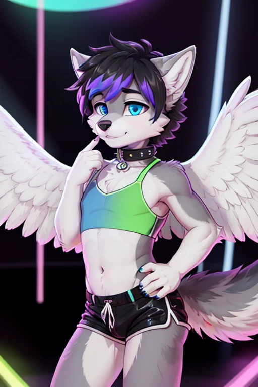 femboy, wolf boy, male, matching short shorts and crop top, flat chested, tight collar, grey fur, white feathered wings, blue eyes, rave background,