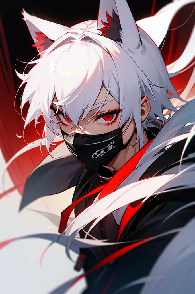 Male, white hair, mask, Red eyes, cat ears