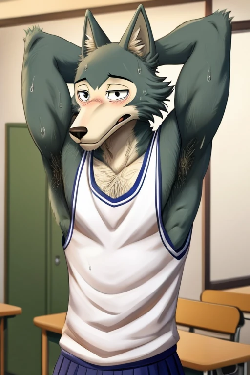 Male, wolf, legoshi, beastars, shy expression, masculine, raised arm, showing armpit, hairy armpit, Japanese , school outfit, white sleeveless shirt, sweating