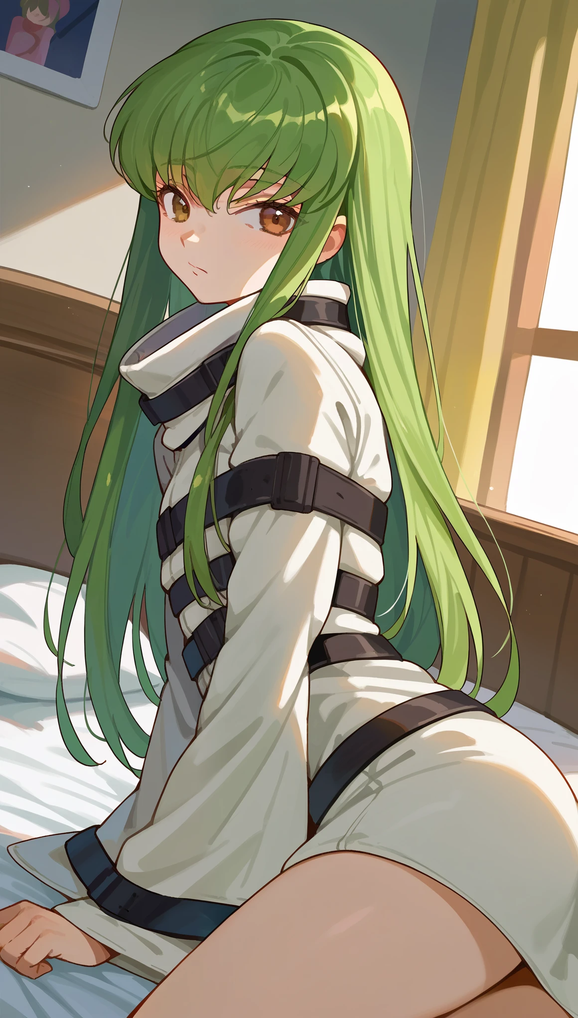 score_9, score_8_up, score_7_up, source_anime,
codegeasscc, cc, brown eyes, green hair, long hair, straight hair,
straitjacket, white straitjacket, wide sleeves,
indoors, bed, bed room, on side,
looking at viewer, dutch angle, cowboy shot,