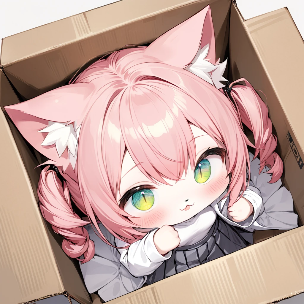 masterpiece, best quality, absurdres , panorama, from above, perfect anatomy, ultimate detailed, (an extremely delicate and beautiful:1.2), (1 very cute chibi girl:0.2), solo, :3, cat ears, (long side hair),neko_hakase, (detailed eyes:1.3), inside a cardboard box, peeking from inside a cardboard box, sparkling eyes, soft smile, fur, hairy,pink hair,full body,pigtail,tail,two_hands,cat pad,two_black_feets,white_clothing,skirt,grey_skirt,