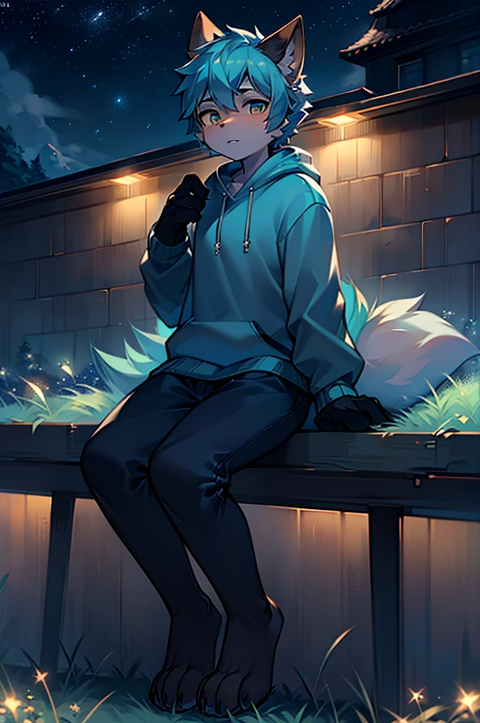 8k, Super Detail, precise, best quality,Seventeen-year-old werewolf,Cyan hair,Wearing an indigo sweatshirt,Rich plush texture,Realistic style,Sitting on the grass,The sky is full of stars,night,Detailed background