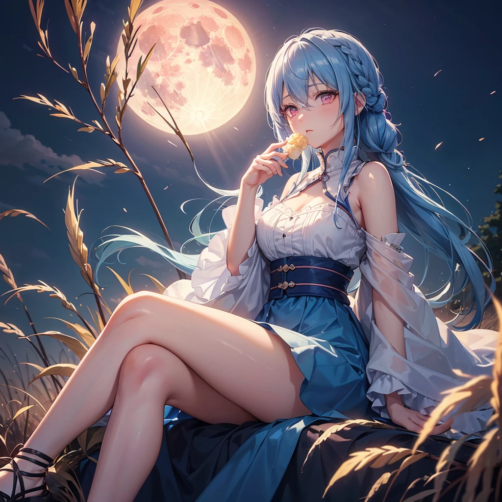 Sky blue hair, (Braided medium hair), (Pink eyes),Fair skin)  ,(whole body),(One Girl),(harvest moon),(A large amount of Miscanthus sinensis in the background),(full moon),(masterpiece, Highest quality, Very detailed, Best Shadow), (Detailed Background), (Beautifully detailed face), High Contrast, (Best lighting, Very delicate and beautiful), ((Cinematic Light)), Hyper Detail,8k, Dramatic Light, Intricate details,Sitting and eating rice dumplings