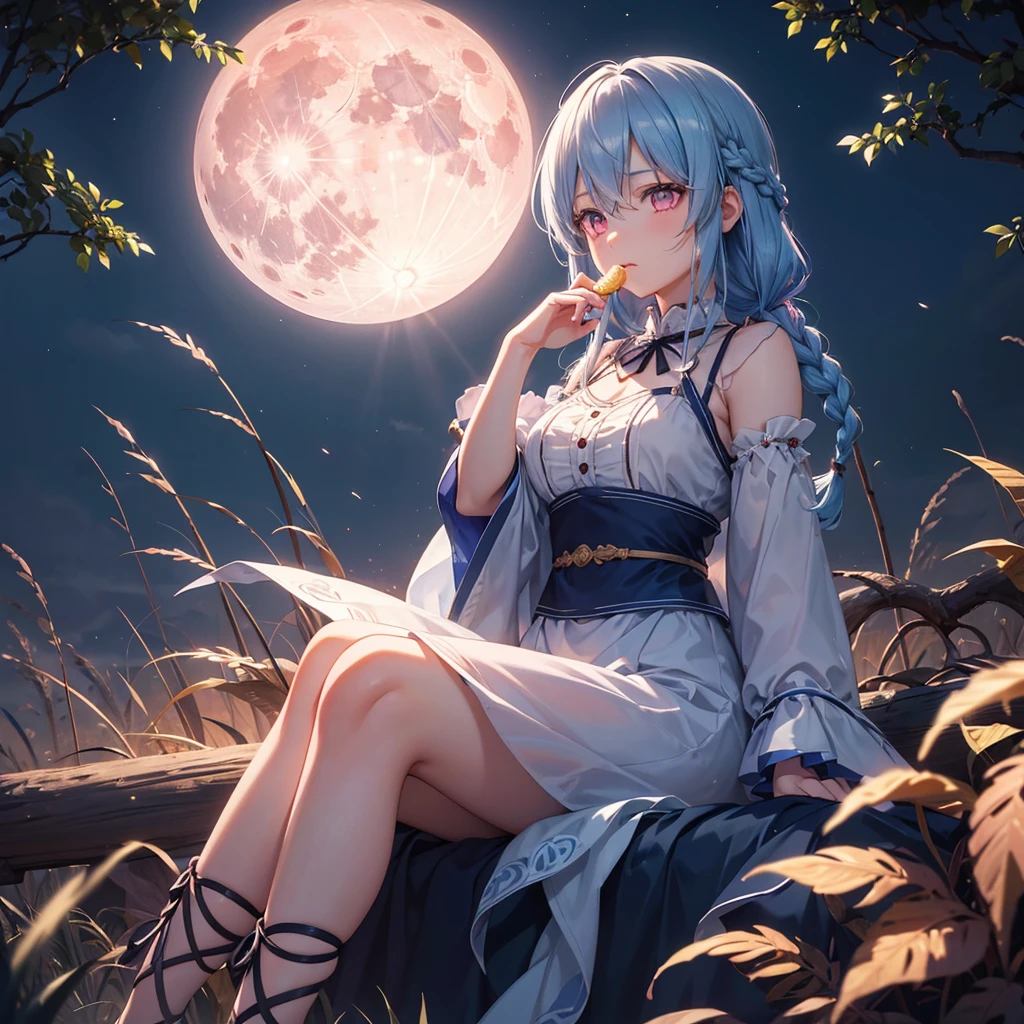 Sky blue hair, (Braided medium hair), (Pink eyes),Fair skin)  ,(whole body),(One Girl),(harvest moon),(A large amount of Miscanthus sinensis in the background),(full moon),(masterpiece, Highest quality, Very detailed, Best Shadow), (Detailed Background), (Beautifully detailed face), High Contrast, (Best lighting, Very delicate and beautiful), ((Cinematic Light)), Hyper Detail,8k, Dramatic Light, Intricate details,Sitting and eating rice dumplings