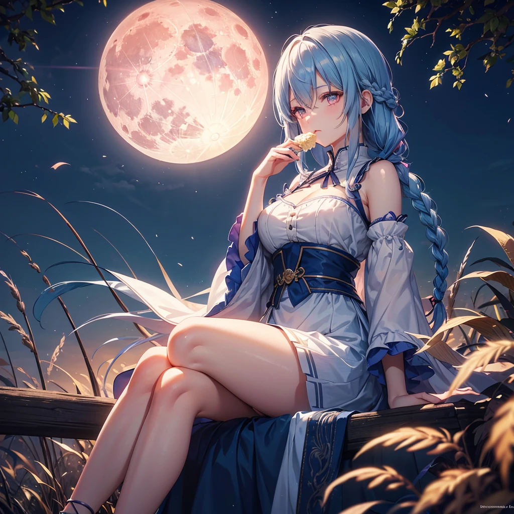 Sky blue hair, (Braided medium hair), (Pink eyes),Fair skin) ,(whole body),(One Girl),(harvest moon),(A large amount of Miscanthus sinensis in the background),(full moon),(masterpiece, Highest quality, Very detailed, Best Shadow), (Detailed Background), (Beautifully detailed face), High Contrast, (Best lighting, Very delicate and beautiful), ((Cinematic Light)), Hyper Detail,8k, Dramatic Light, Intricate details,Sitting and eating rice dumplings