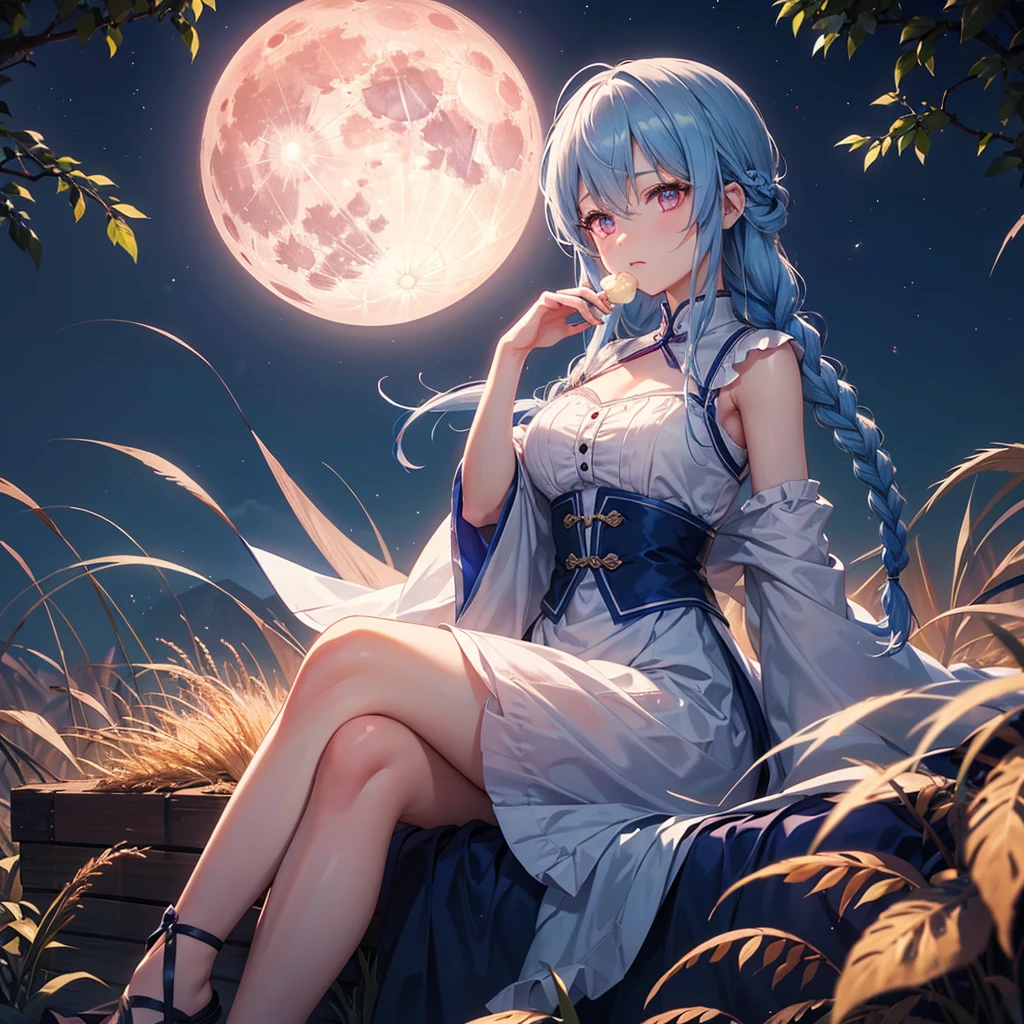 Sky blue hair, (Braided medium hair), (Pink eyes),Fair skin)  ,(whole body),(One Girl),(harvest moon),(A large amount of Miscanthus sinensis in the background),(full moon),(masterpiece, Highest quality, Very detailed, Best Shadow), (Detailed Background), (Beautifully detailed face), High Contrast, (Best lighting, Very delicate and beautiful), ((Cinematic Light)), Hyper Detail,8k, Dramatic Light, Intricate details,Sitting and eating rice dumplings