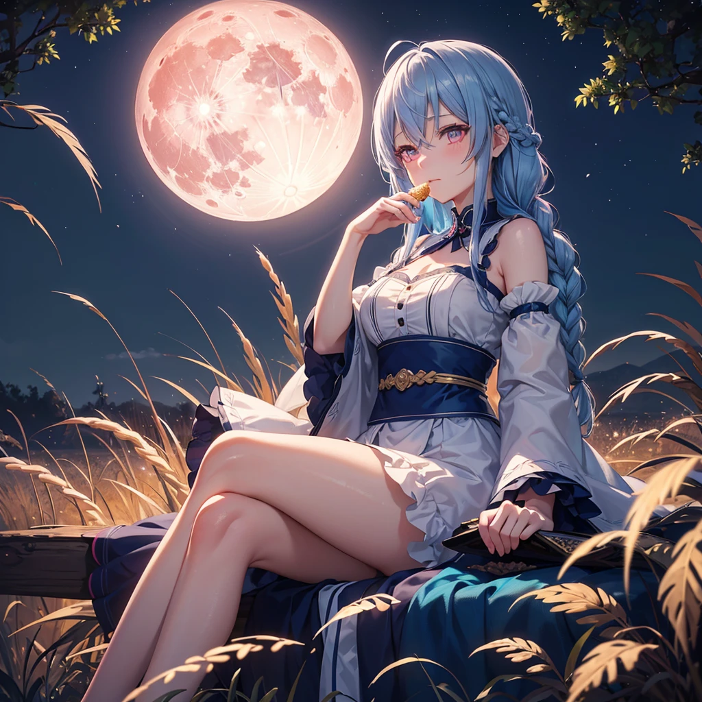Sky blue hair, (Braided medium hair), (Pink eyes),Fair skin)  ,(whole body),(One Girl),Ahegao,(harvest moon),(A large amount of Miscanthus sinensis in the background),(full moon),(masterpiece, Highest quality, Very detailed, Best Shadow), (Detailed Background), (Beautifully detailed face), High Contrast, (Best lighting, Very delicate and beautiful), ((Cinematic Light)), Hyper Detail,8k, Dramatic Light, Intricate details,Sitting and eating rice dumplings
