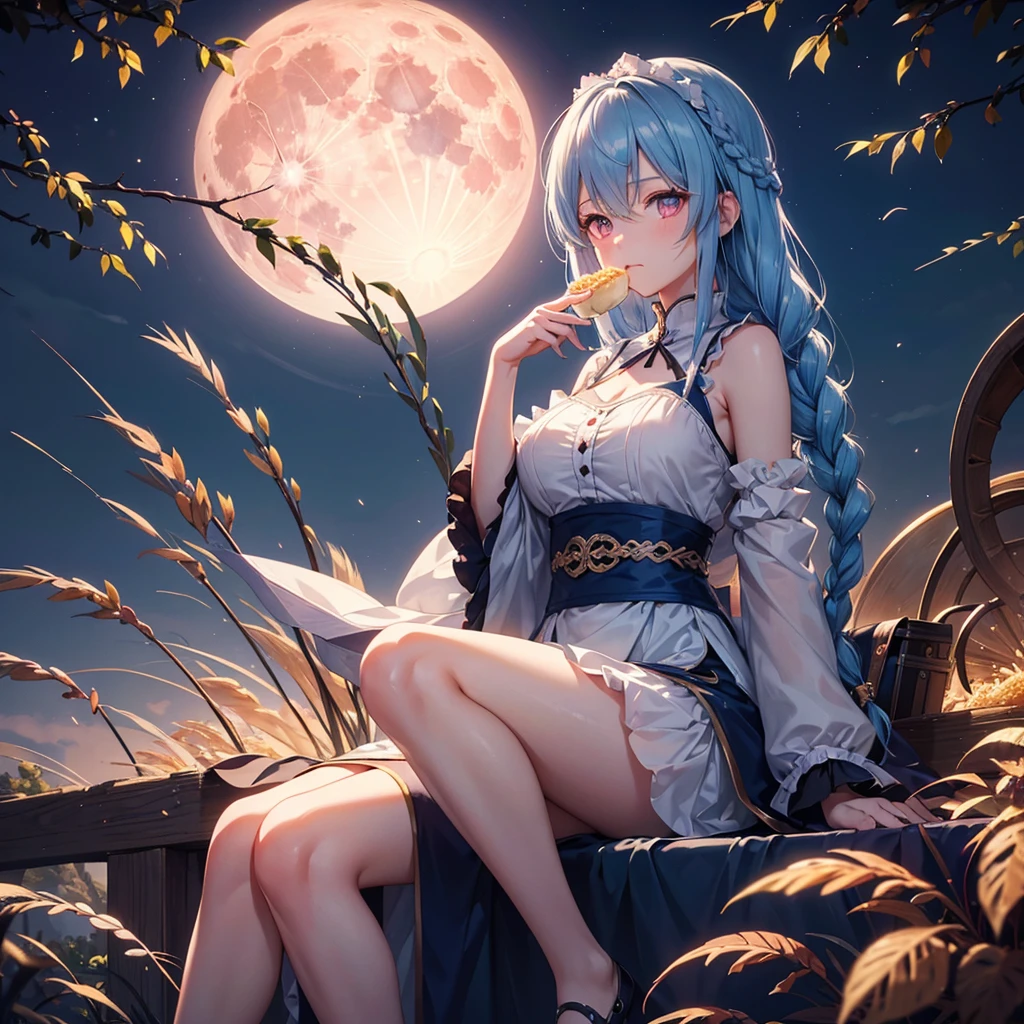 Sky blue hair, (Braided medium hair), (Pink eyes),Fair skin)  ,(whole body),(One Girl),(harvest moon),(A large amount of Miscanthus sinensis in the background),(full moon),(masterpiece, Highest quality, Very detailed, Best Shadow), (Detailed Background), (Beautifully detailed face), High Contrast, (Best lighting, Very delicate and beautiful), ((Cinematic Light)), Hyper Detail,8k, Dramatic Light, Intricate details,(Sitting and eating rice dumplings)