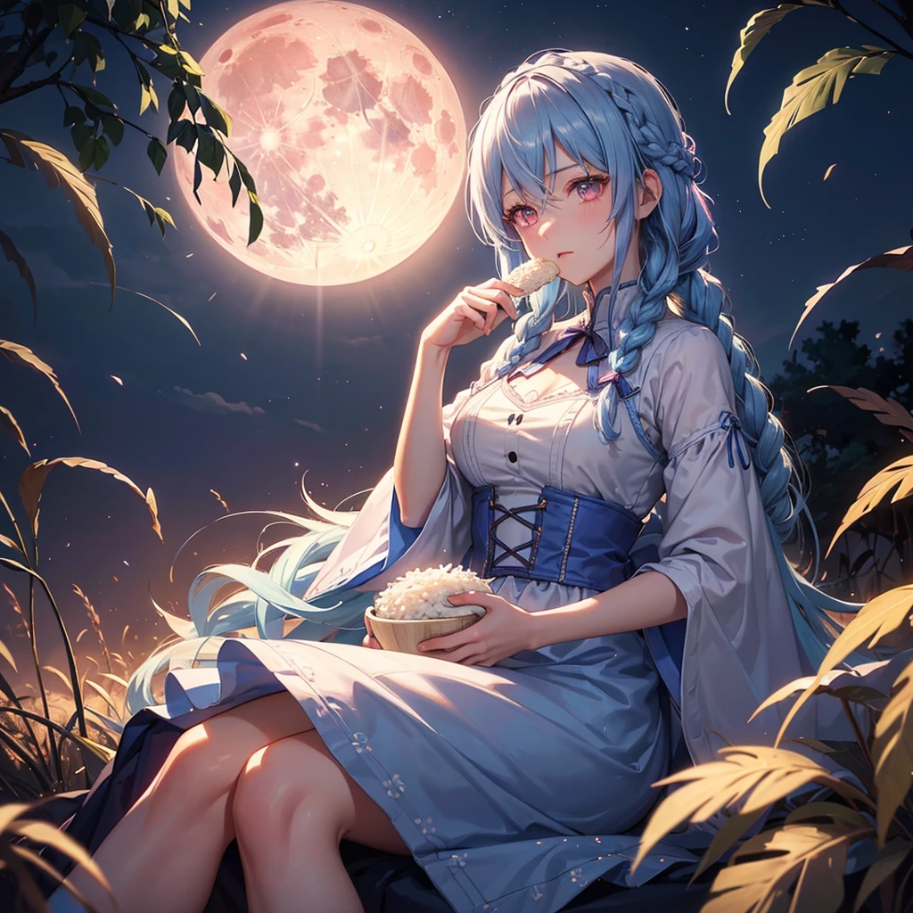 Sky blue hair, (Braided medium hair), (Pink eyes),Fair skin) ,(whole body),(One Girl),(harvest moon),(A large amount of Miscanthus sinensis in the background),(full moon),(masterpiece, Highest quality, Very detailed, Best Shadow), (Detailed Background), (Beautifully detailed face), High Contrast, (Best lighting, Very delicate and beautiful), ((Cinematic Light)), Hyper Detail,8k, Dramatic Light, Intricate details,(sitting down to eat rice dumplings)