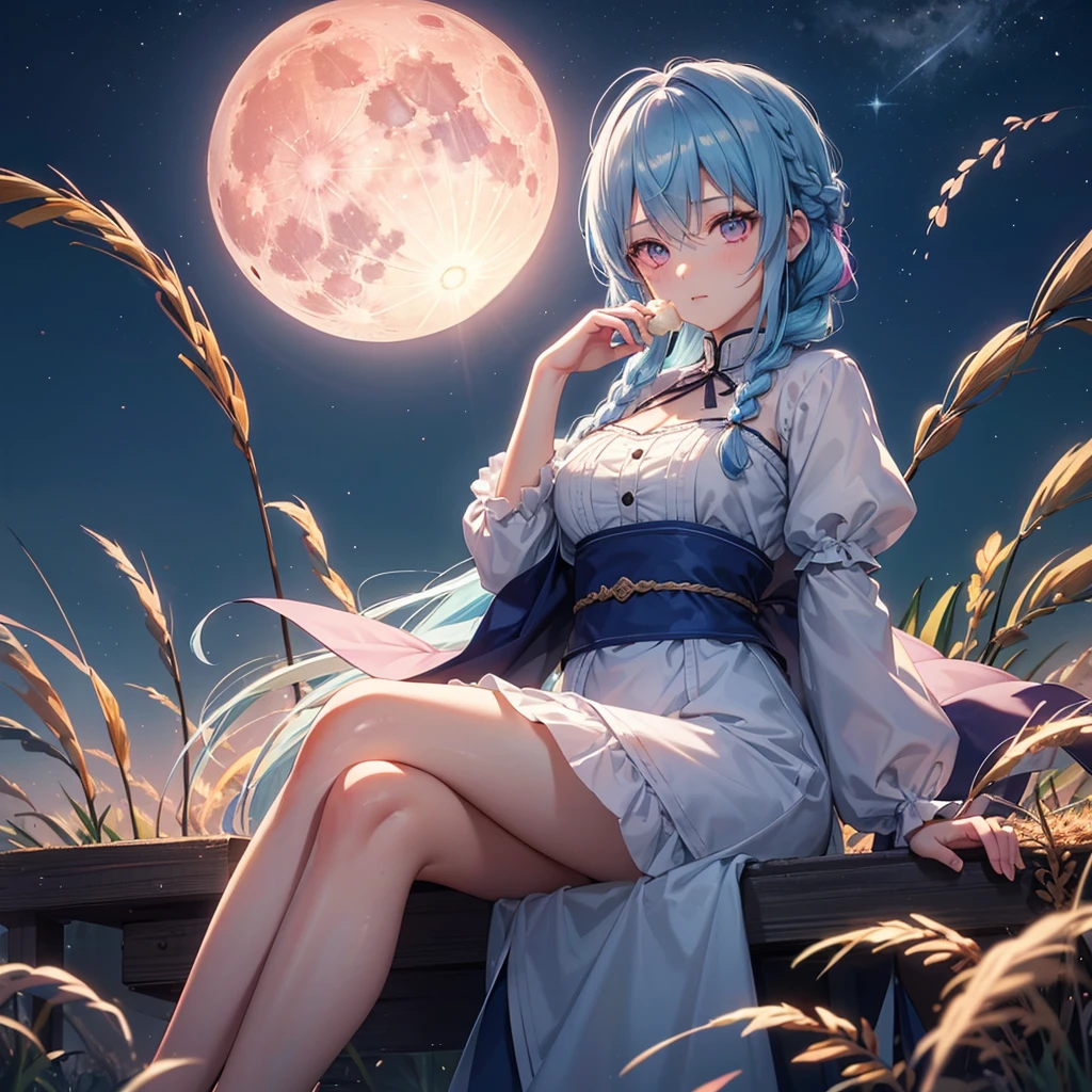 Sky blue hair, (Braided medium hair), (Pink eyes),Fair skin) ,(whole body),(One Girl),(harvest moon),(A large amount of Miscanthus sinensis in the background),(full moon),(masterpiece, Highest quality, Very detailed, Best Shadow), (Detailed Background), (Beautifully detailed face), High Contrast, (Best lighting, Very delicate and beautiful), ((Cinematic Light)), Hyper Detail,8k, Dramatic Light, Intricate details,(sitting down to eat rice dumplings)