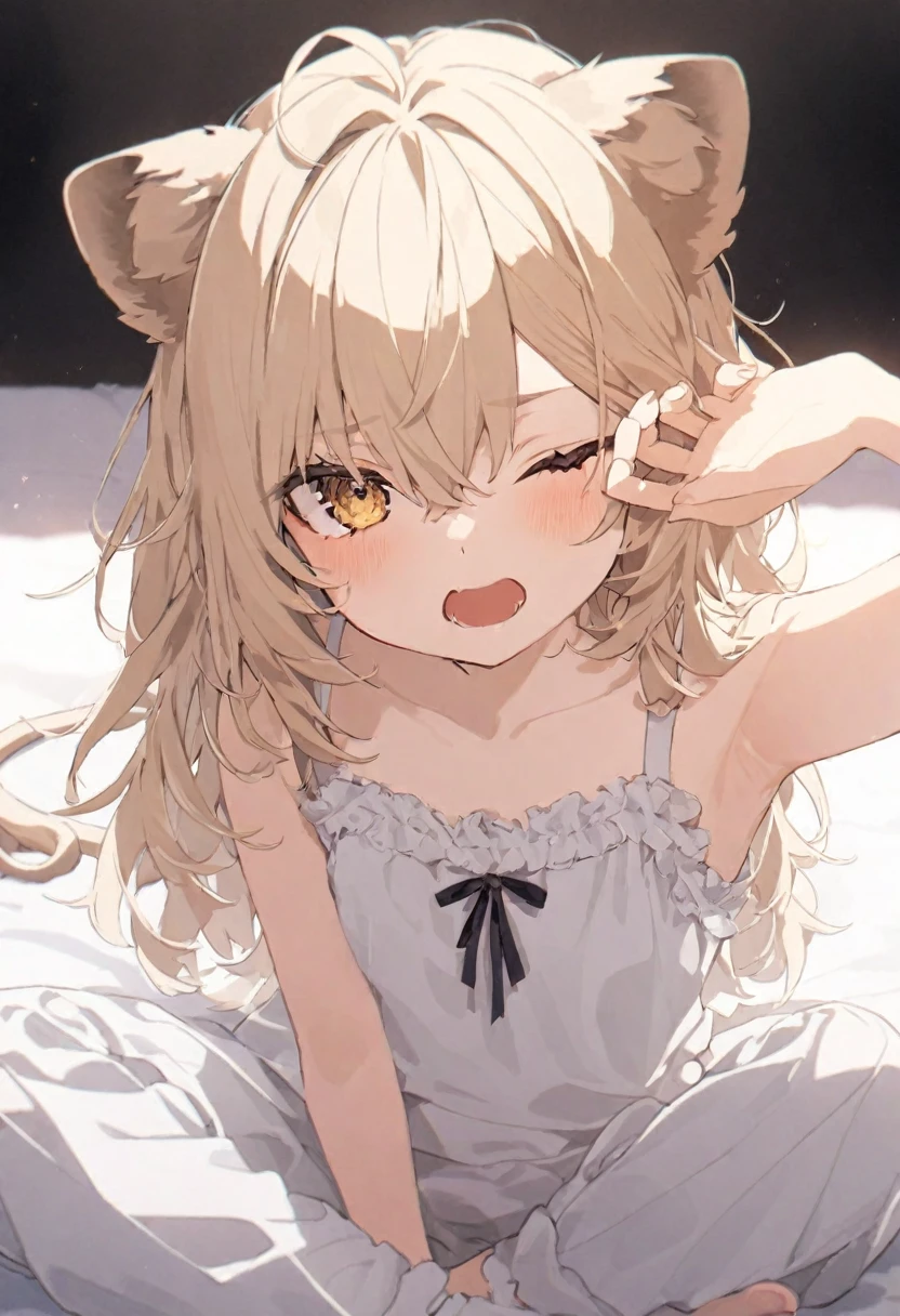 (muste piece), (best quality), (score_9, score_8_up, score_7_up), very detailed eyes, expressive eyes, perfect face, very detailed face, highly detailed face, beautiful girl, 8K, beautiful girl, white background, delicate and beautiful face and eyes, dark intense shadow,
1 girl, vtuber style, cool girl, hololive, vtuber, rurudo_lion, Platinum blonde lion ears, Platinum blonde lion tail, Platinum blonde hair, long hair, messy hair, blond eyes, hair between eyes, White pajamas, short sleevesclose one eye, look up, small chest, clavicle, yawned and stretched, one arm up, armpit, (full body), sitting on bed, indian style,