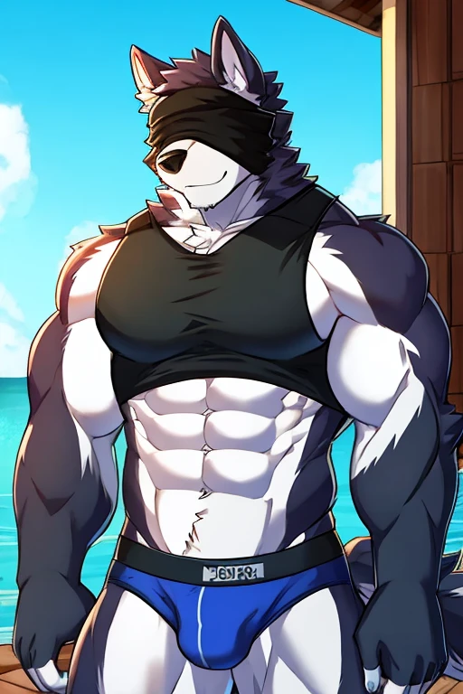 Alaskan Malamute Dog, muscular, furry, with face covered, black hooded sleeveless shirt, blue underwear