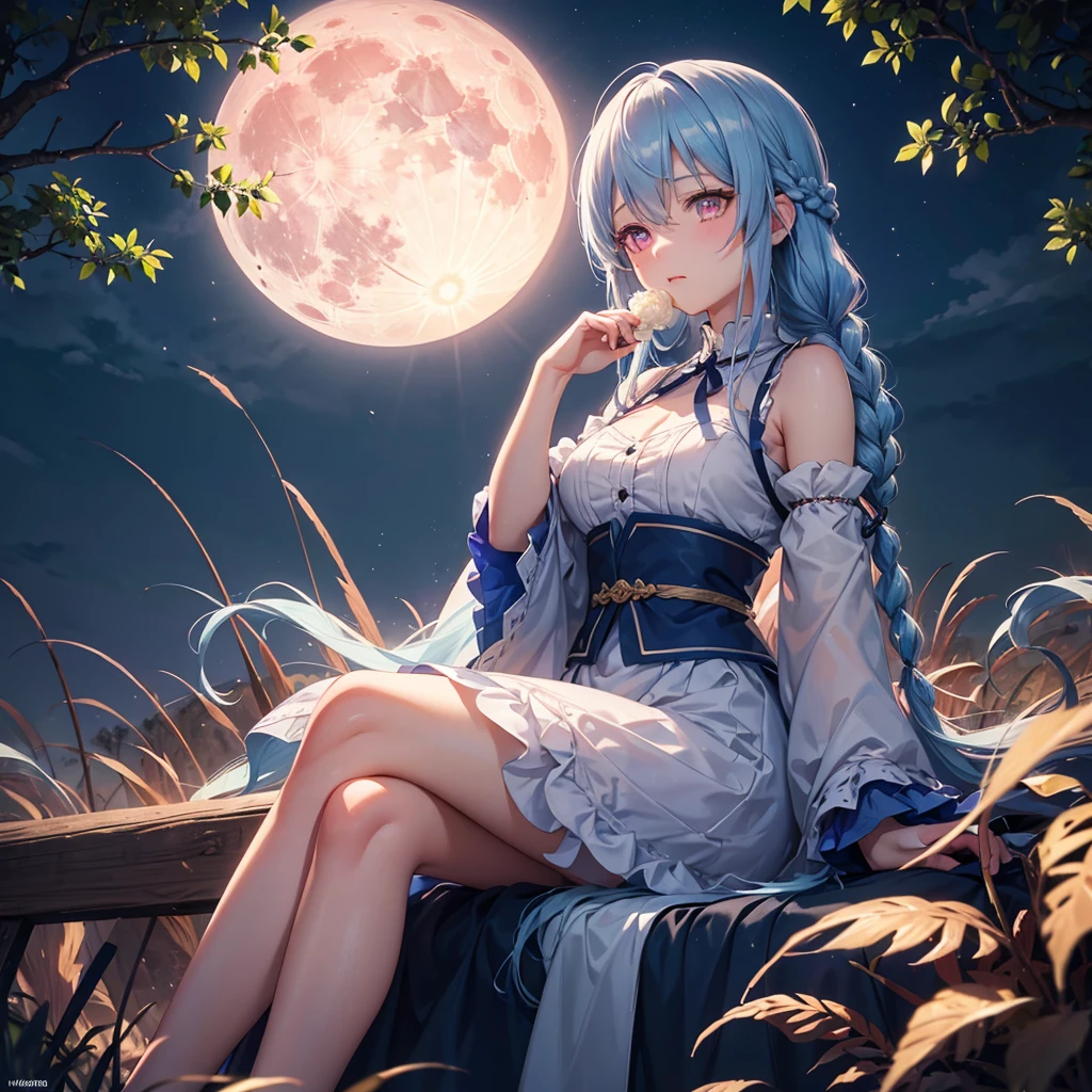 Sky blue hair, (Braided medium hair), (Pink eyes),Fair skin)  ,(whole body),(One Girl),(harvest moon),(A large amount of Miscanthus sinensis in the background),(full moon),(masterpiece, Highest quality, Very detailed, Best Shadow), (Detailed Background), (Beautifully detailed face), High Contrast, (Best lighting, Very delicate and beautiful), ((Cinematic Light)), Hyper Detail,8k, Dramatic Light, Intricate details,(sitting down to eat rice dumplings)
