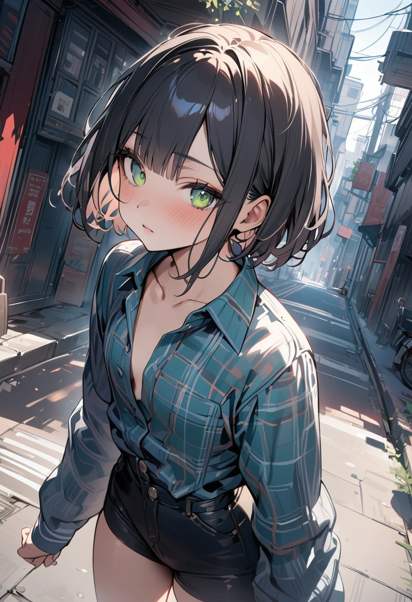 (masterpiece, best quality:1.5), (high resolution 8K), detailed eyes and face, detailed body, 
BREAK (very short hair:2.0), blunt bangs, black hair, (inner green color hair:1.2), green eyes, , small breast,  
BREAK expressionless, 
BREAK  plaid shirt, 
BREAK standing, model posing, dynamic angle, at street, 