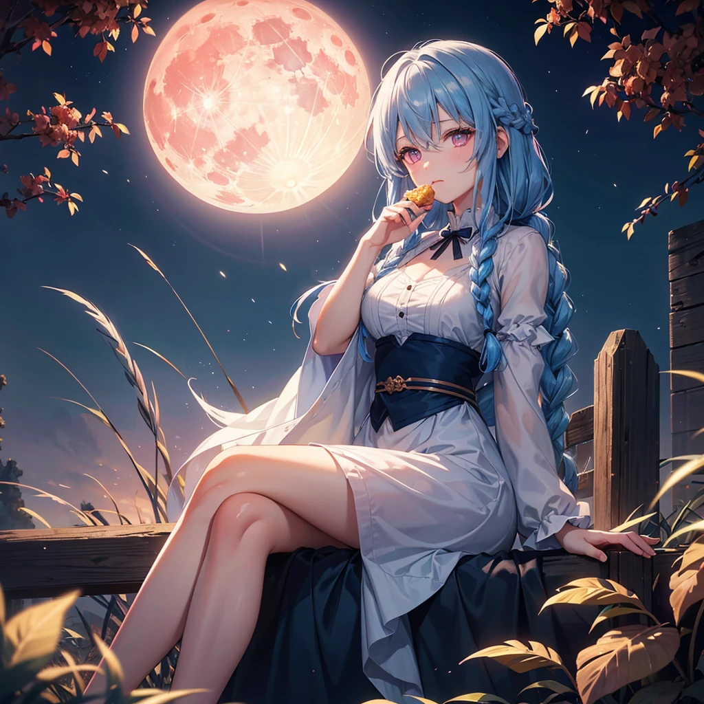 Sky blue hair, (Braided medium hair), (Pink eyes),Fair skin) ,(whole body),(One Girl),(harvest moon),(A large amount of Miscanthus sinensis in the background),(full moon),(masterpiece, Highest quality, Very detailed, Best Shadow), (Detailed Background), (Beautifully detailed face), High Contrast, (Best lighting, Very delicate and beautiful), ((Cinematic Light)), Hyper Detail,8k, Dramatic Light, Intricate details,(sitting down to eat rice dumplings),Stacked rice dumplings,