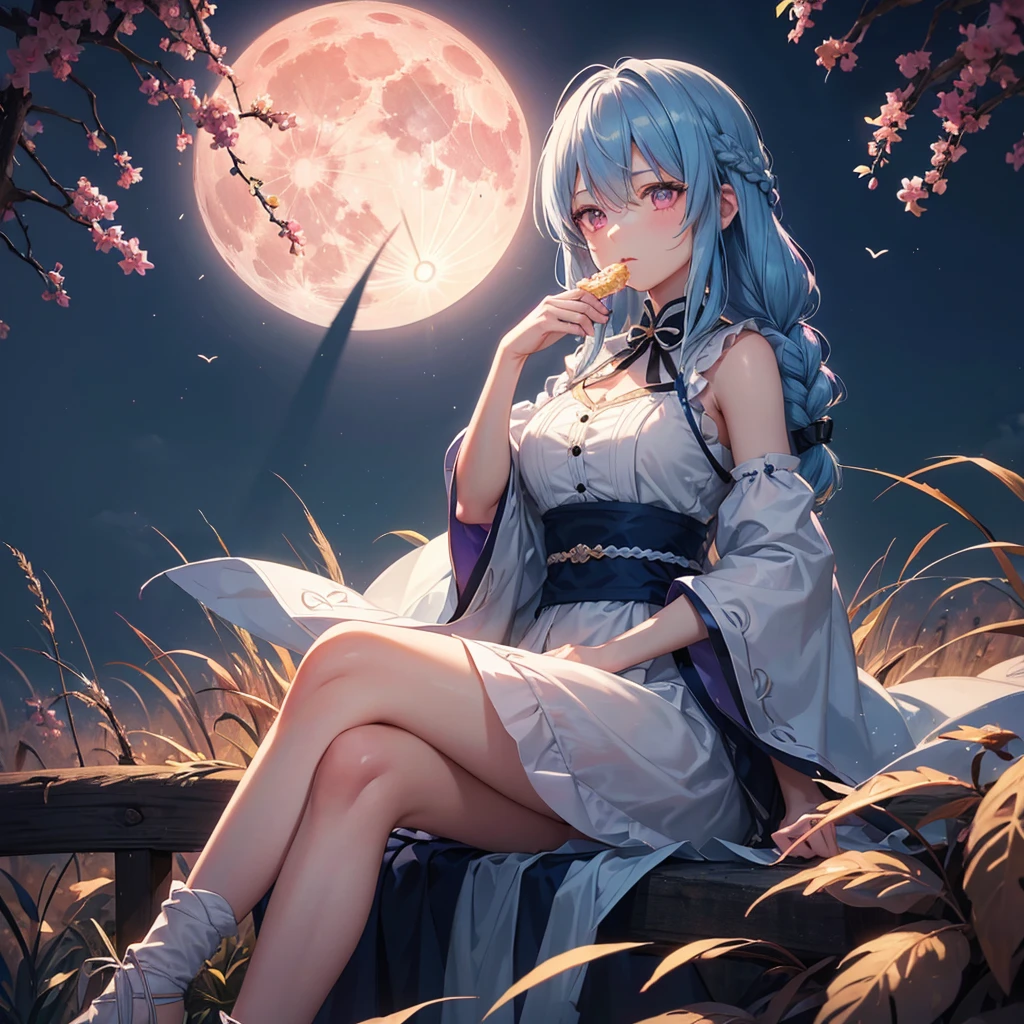 Sky blue hair, (Braided medium hair), (Pink eyes),Fair skin) ,(whole body),(One Girl),(harvest moon),(A large amount of Miscanthus sinensis in the background),(full moon),(masterpiece, Highest quality, Very detailed, Best Shadow), (Detailed Background), (Beautifully detailed face), High Contrast, (Best lighting, Very delicate and beautiful), ((Cinematic Light)), Hyper Detail,8k, Dramatic Light, Intricate details,(sitting down to eat rice dumplings)