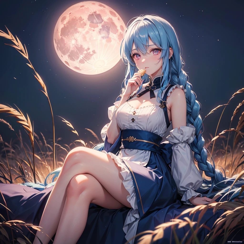Sky blue hair, (Braided medium hair), (Pink eyes),Fair skin) ,(whole body),(One Girl),(harvest moon),(A large amount of Miscanthus sinensis in the background),(full moon),(masterpiece, Highest quality, Very detailed, Best Shadow), (Detailed Background), (Beautifully detailed face), High Contrast, (Best lighting, Very delicate and beautiful), ((Cinematic Light)), Hyper Detail,8k, Dramatic Light, Intricate details,(sitting down to eat rice dumplings)