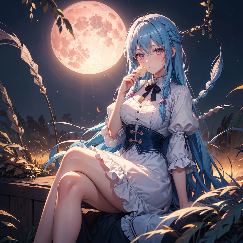 Sky blue hair, (Braided medium hair), (Pink eyes),Fair skin) ,(whole body),(One Girl),(harvest moon),(A large amount of Miscanthus sinensis in the background),(full moon),(masterpiece, Highest quality, Very detailed, Best Shadow), (Detailed Background), (Beautifully detailed face), High Contrast, (Best lighting, Very delicate and beautiful), ((Cinematic Light)), Hyper Detail,8k, Dramatic Light, Intricate details,(sitting down to eat rice dumplings)