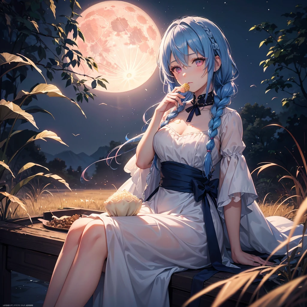 Sky blue hair, (Braided medium hair), (Pink eyes),Fair skin) ,(whole body),(One Girl),(harvest moon),(A large amount of Miscanthus sinensis in the background),(full moon),(masterpiece, Highest quality, Very detailed, Best Shadow), (Detailed Background), (Beautifully detailed face), High Contrast, (Best lighting, Very delicate and beautiful), ((Cinematic Light)), Hyper Detail,8k, Dramatic Light, Intricate details,(sitting down to eat rice dumplings)