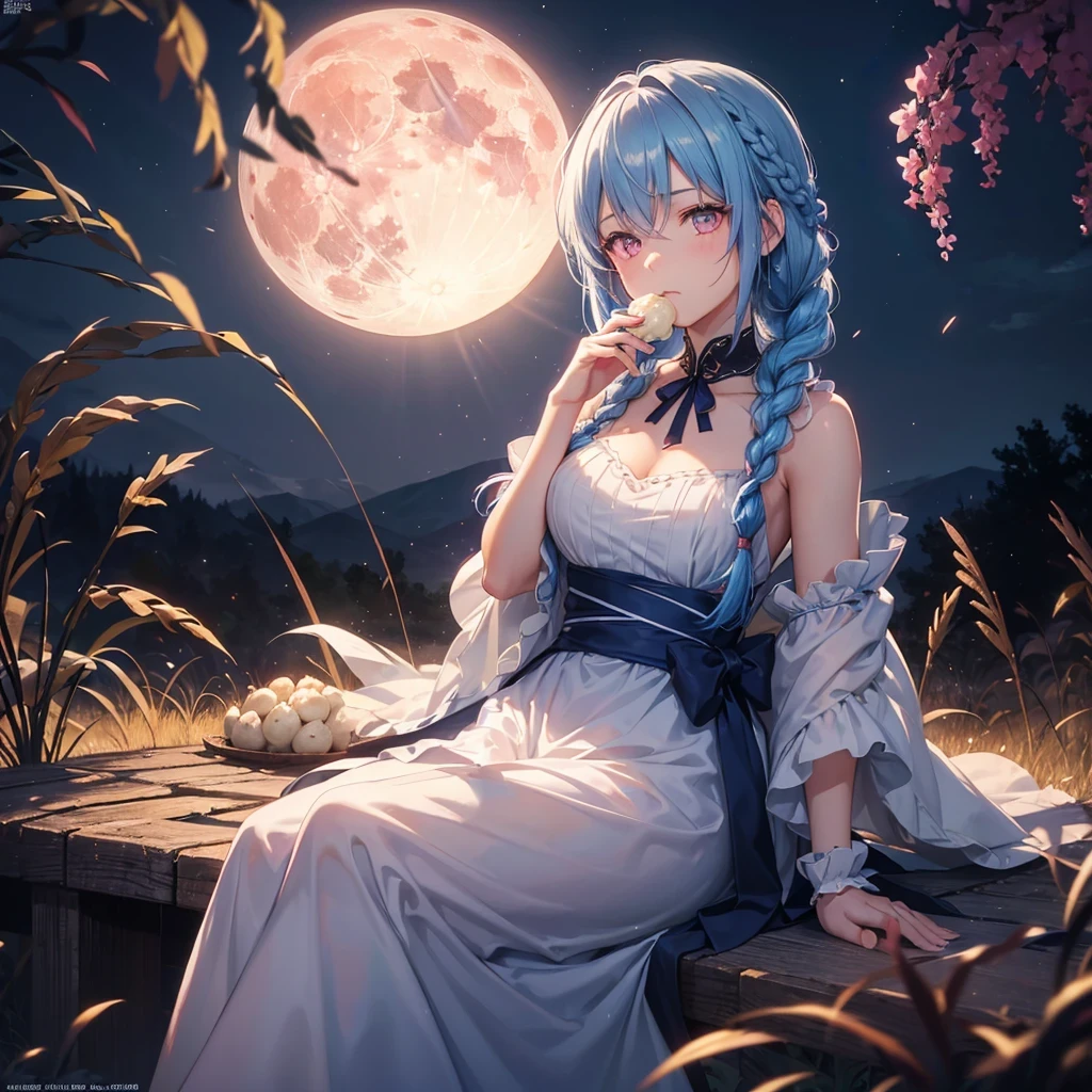 Sky blue hair, (Braided medium hair), (Pink eyes),Fair skin) ,(whole body),(One Girl),(harvest moon),(A large amount of Miscanthus sinensis in the background),(full moon),(masterpiece, Highest quality, Very detailed, Best Shadow), (Detailed Background), (Beautifully detailed face), High Contrast, (Best lighting, Very delicate and beautiful), ((Cinematic Light)), Hyper Detail,8k, Dramatic Light, Intricate details,(sitting down to eat rice dumplings)