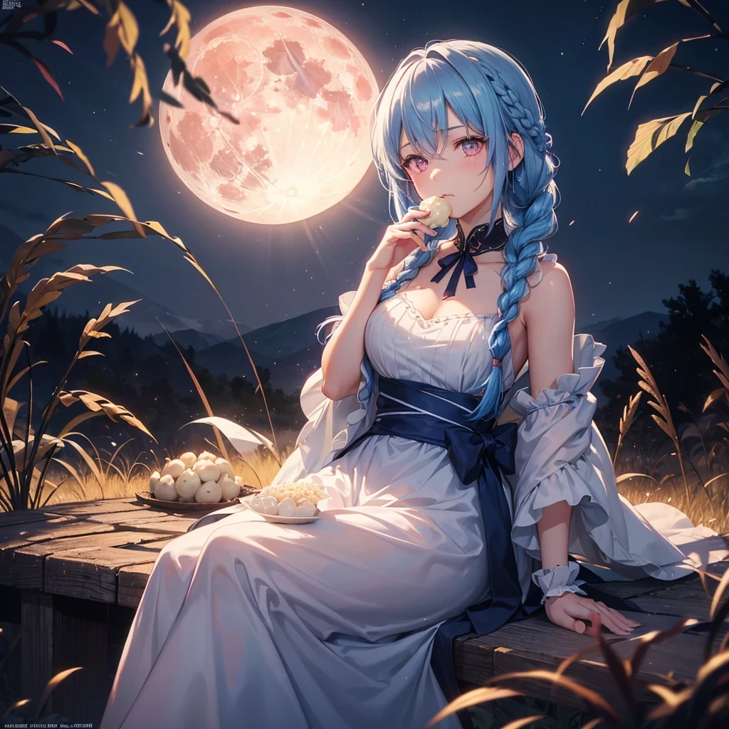 Sky blue hair, (Braided medium hair), (Pink eyes),Fair skin) ,(whole body),(One Girl),(harvest moon),(A large amount of Miscanthus sinensis in the background),(full moon),(masterpiece, Highest quality, Very detailed, Best Shadow), (Detailed Background), (Beautifully detailed face), High Contrast, (Best lighting, Very delicate and beautiful), ((Cinematic Light)), Hyper Detail,8k, Dramatic Light, Intricate details,(sitting down to eat rice dumplings)