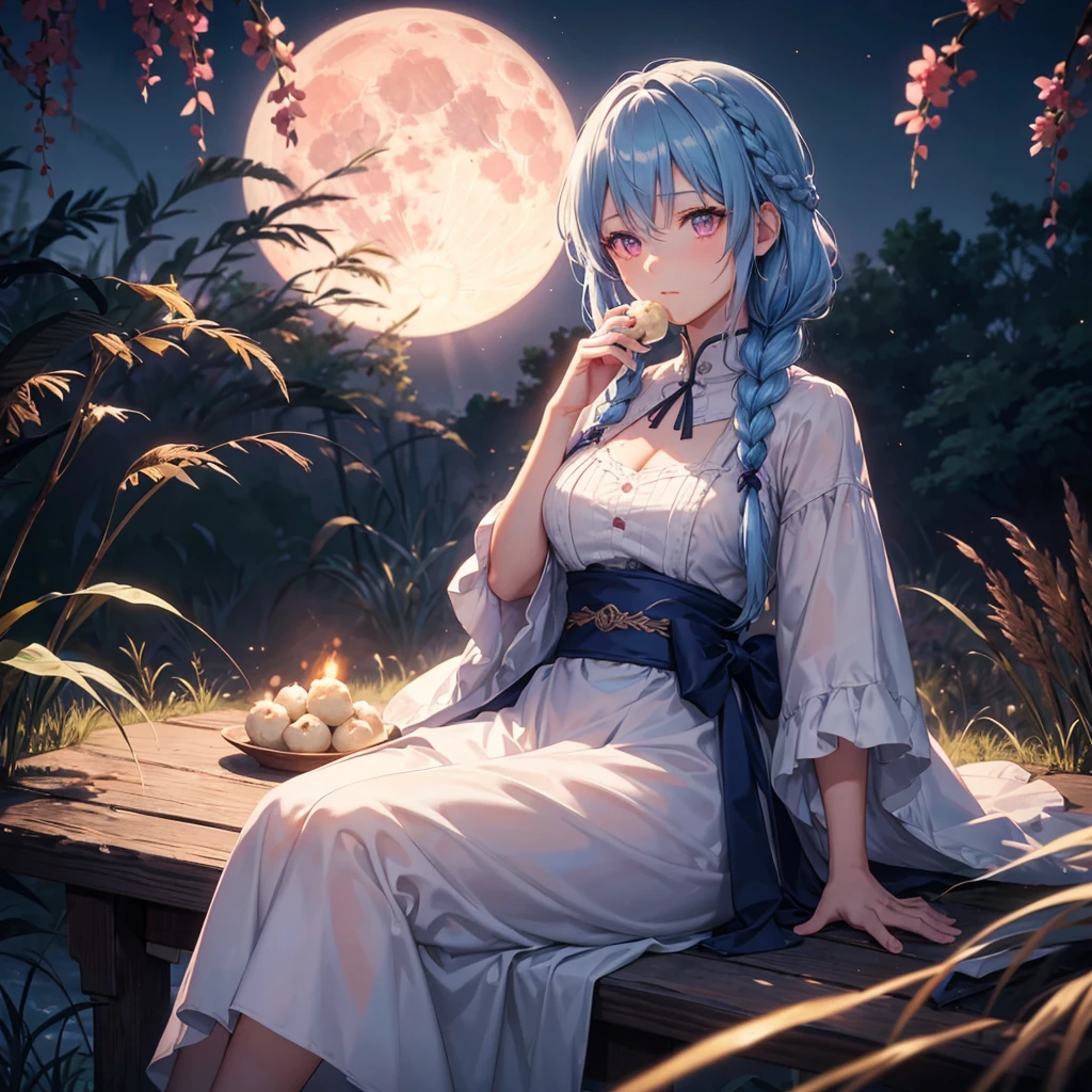 Sky blue hair, (Braided medium hair), (Pink eyes),Fair skin) ,(whole body),(One Girl),(harvest moon),(A large amount of Miscanthus sinensis in the background),(full moon),(masterpiece, Highest quality, Very detailed, Best Shadow), (Detailed Background), (Beautifully detailed face), High Contrast, (Best lighting, Very delicate and beautiful), ((Cinematic Light)), Hyper Detail,8k, Dramatic Light, Intricate details,(sitting down to eat rice dumplings)