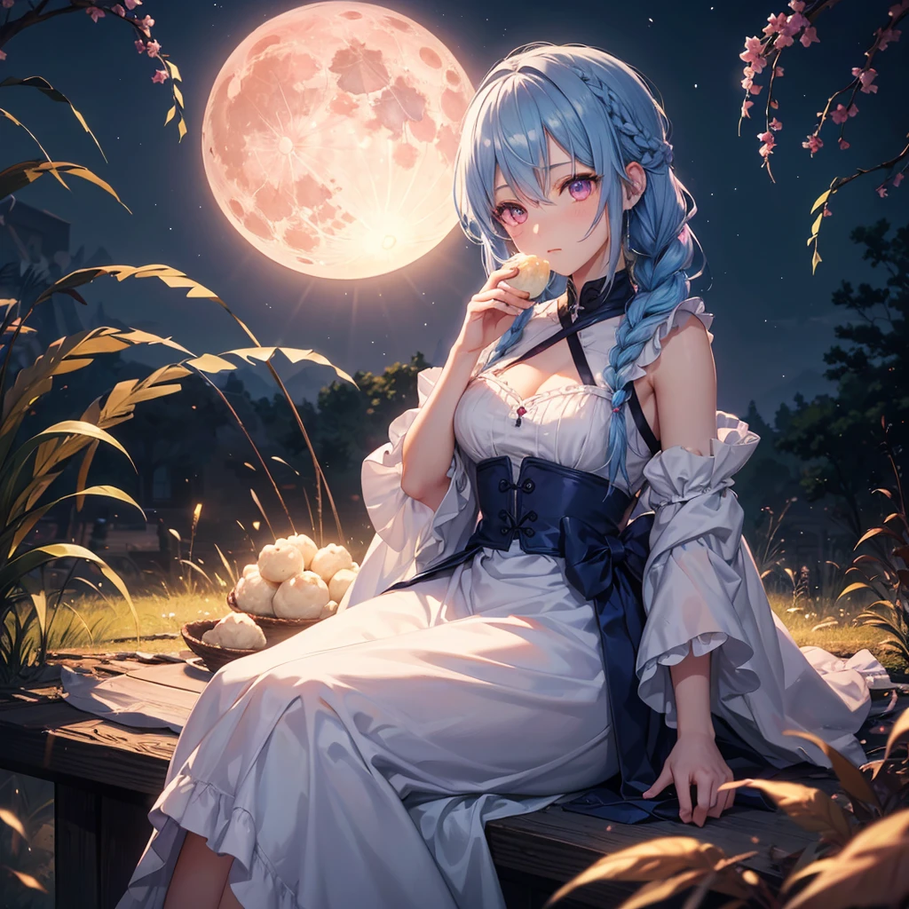 Sky blue hair, (Braided medium hair), (Pink eyes),Fair skin) ,(whole body),(One Girl),(harvest moon),(A large amount of Miscanthus sinensis in the background),(full moon),(masterpiece, Highest quality, Very detailed, Best Shadow), (Detailed Background), (Beautifully detailed face), High Contrast, (Best lighting, Very delicate and beautiful), ((Cinematic Light)), Hyper Detail,8k, Dramatic Light, Intricate details,(sitting down to eat rice dumplings)