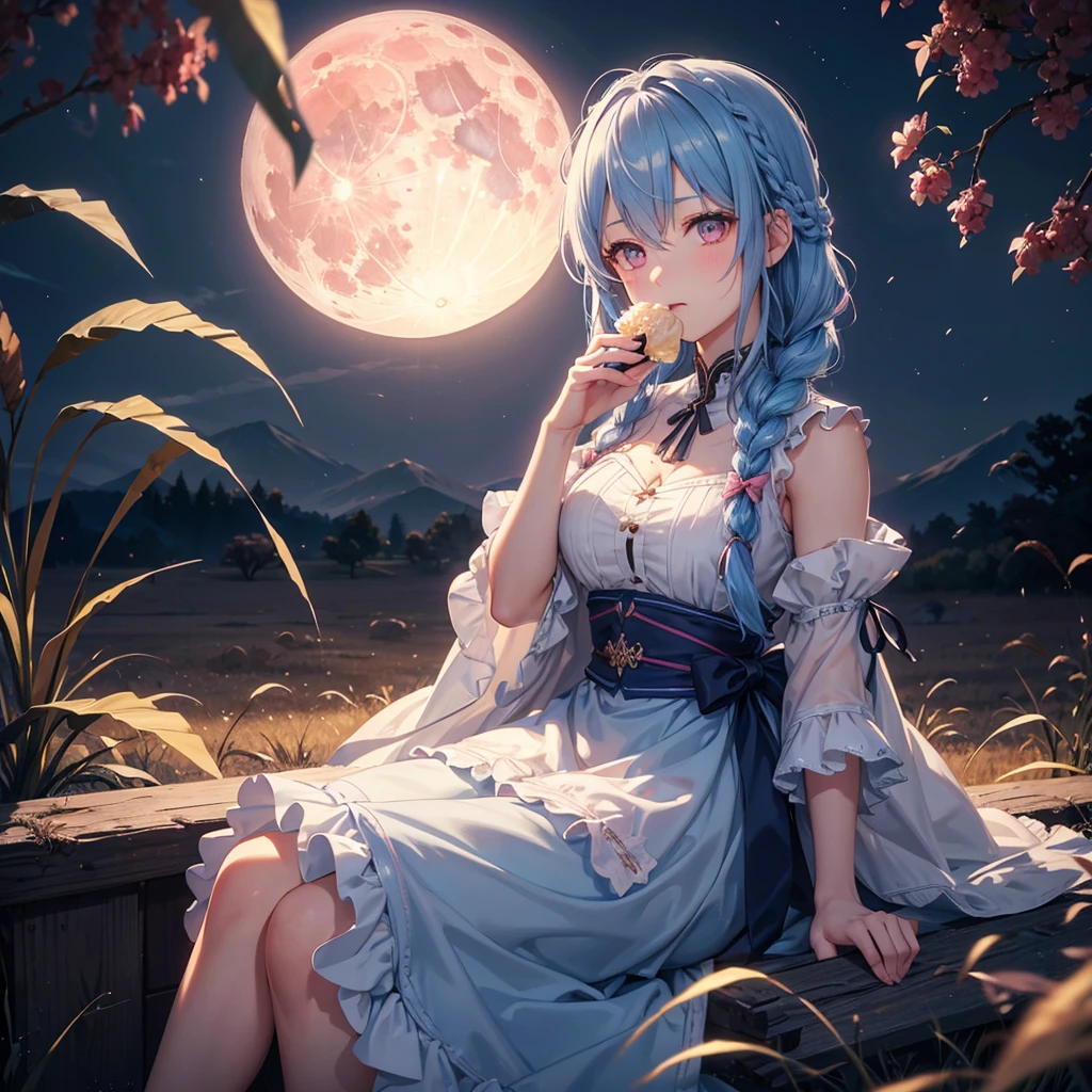 Sky blue hair, (Braided medium hair), (Pink eyes),Fair skin) ,(whole body),(One Girl),(harvest moon),(A large amount of Miscanthus sinensis in the background),(full moon),(masterpiece, Highest quality, Very detailed, Best Shadow), (Detailed Background), (Beautifully detailed face), High Contrast, (Best lighting, Very delicate and beautiful), ((Cinematic Light)), Hyper Detail,8k, Dramatic Light, Intricate details,(sitting down to eat rice dumplings)