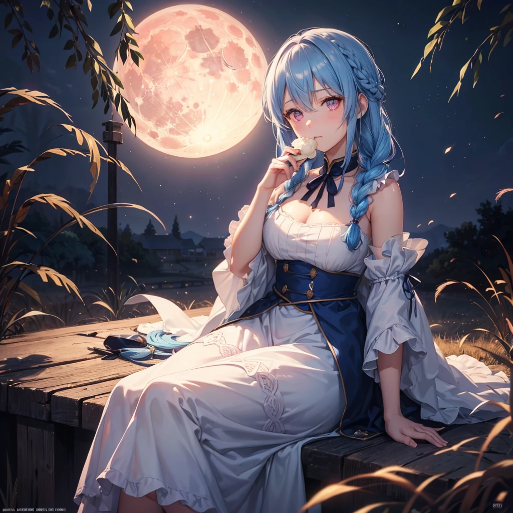 Sky blue hair, (Braided medium hair), (Pink eyes),Fair skin) ,(whole body),(One Girl),(harvest moon),(A large amount of Miscanthus sinensis in the background),(full moon),(masterpiece, Highest quality, Very detailed, Best Shadow), (Detailed Background), (Beautifully detailed face), High Contrast, (Best lighting, Very delicate and beautiful), ((Cinematic Light)), Hyper Detail,8k, Dramatic Light, Intricate details,(sitting down to eat rice dumplings)
