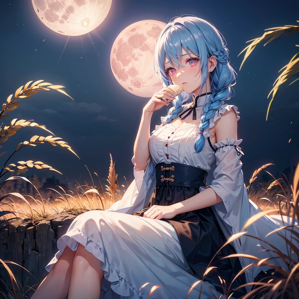 Sky blue hair, (Braided medium hair), (Pink eyes),Fair skin) ,(whole body),(One Girl),(harvest moon),(A large amount of Miscanthus sinensis in the background),(full moon),(masterpiece, Highest quality, Very detailed, Best Shadow), (Detailed Background), (Beautifully detailed face), High Contrast, (Best lighting, Very delicate and beautiful), ((Cinematic Light)), Hyper Detail,8k, Dramatic Light, Intricate details,(sitting down to eat rice dumplings)