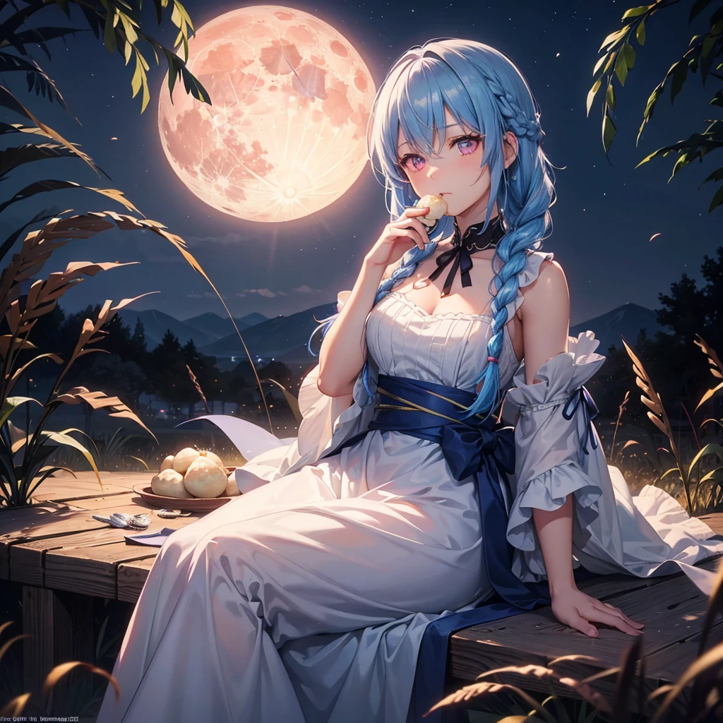Sky blue hair, (Braided medium hair), (Pink eyes),Fair skin) ,(whole body),(One Girl),(harvest moon),(A large amount of Miscanthus sinensis in the background),(full moon),(masterpiece, Highest quality, Very detailed, Best Shadow), (Detailed Background), (Beautifully detailed face), High Contrast, (Best lighting, Very delicate and beautiful), ((Cinematic Light)), Hyper Detail,8k, Dramatic Light, Intricate details,(sitting down to eat rice dumplings)
