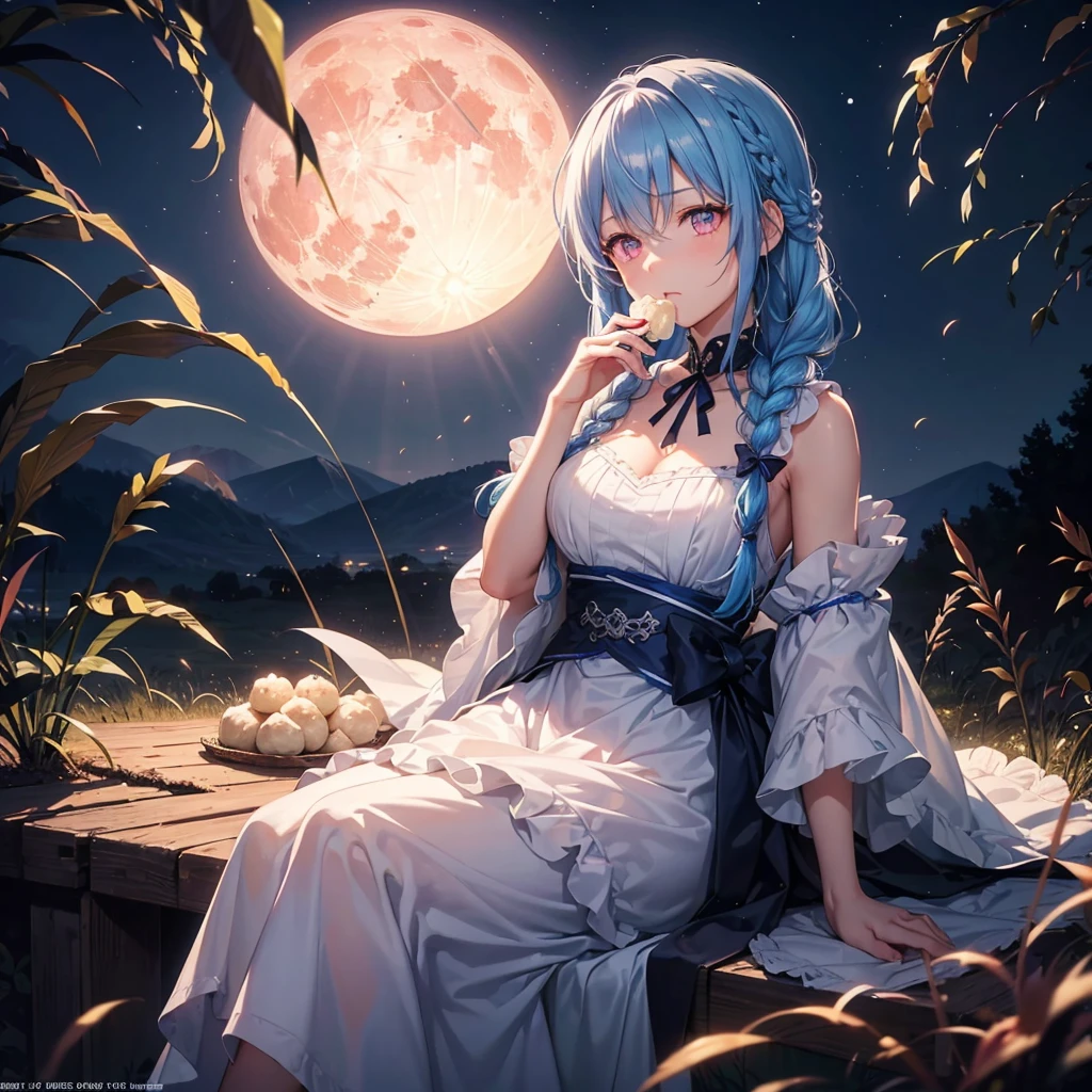 Sky blue hair, (Braided medium hair), (Pink eyes),Fair skin)  ,(whole body),(One Girl),(harvest moon),(A large amount of Miscanthus sinensis in the background),(full moon),(masterpiece, Highest quality, Very detailed, Best Shadow), (Detailed Background), (Beautifully detailed face), High Contrast, (Best lighting, Very delicate and beautiful), ((Cinematic Light)), Hyper Detail,8k, Dramatic Light, Intricate details,(sitting down to eat rice dumplings)